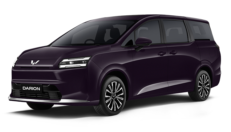 orchid-purple-ev